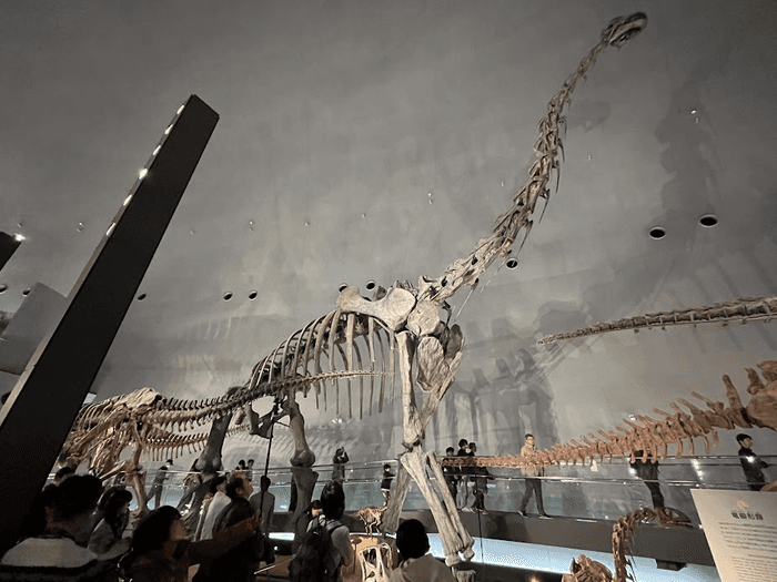 ブラキオサウルス